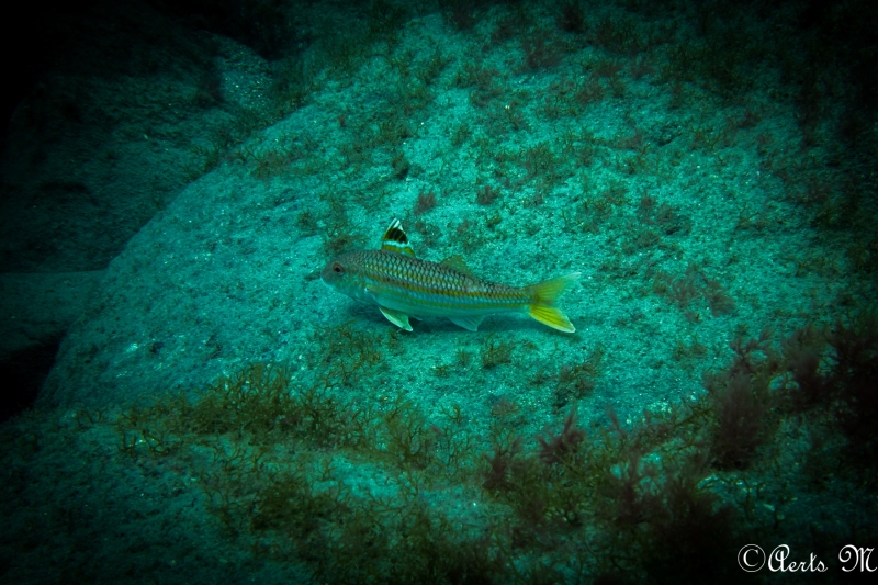 IMG_1436
